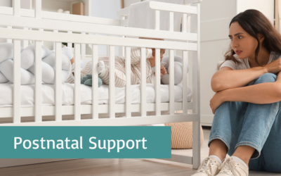 Postnatal Support