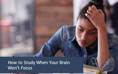 How to Study When You Can’t Focus | The Therapy Hub